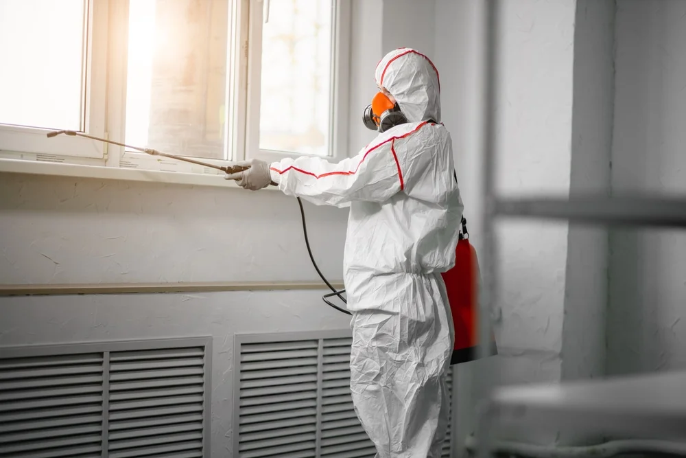 Professional mold remediation services in Lewiston, MN